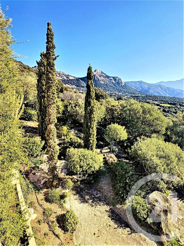 Afficher la photo en grand maison à vendre - 5 pièces - 130.48 m2 - LUMIO - 20 - CORSE - Century 21 Dary Immobilier