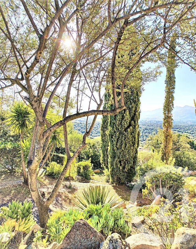 Afficher la photo en grand maison à vendre - 5 pièces - 130.48 m2 - LUMIO - 20 - CORSE - Century 21 Dary Immobilier