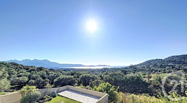 maison à vendre - 8 pièces - 243.08 m2 - LUMIO - 20 - CORSE - Century 21 Dary Immobilier