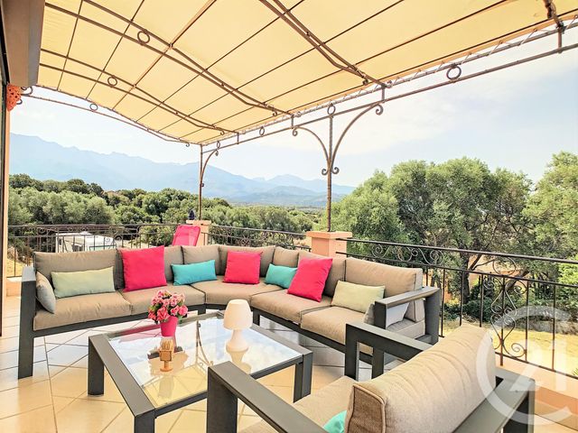Afficher la photo en grand maison à vendre - 9 pièces - 269.93 m2 - LUMIO - 20 - CORSE - Century 21 Dary Immobilier