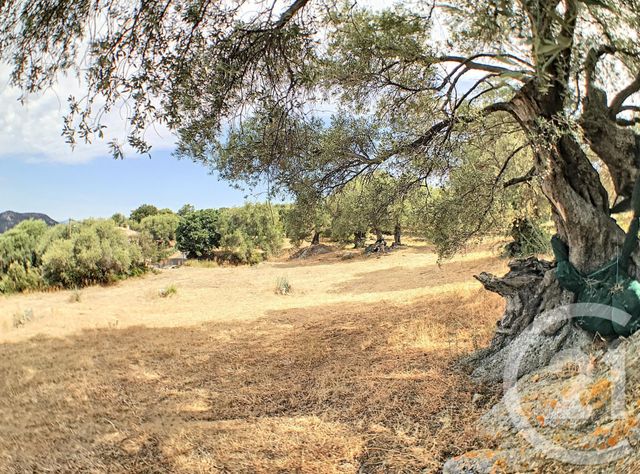 Afficher la photo en grand terrain à vendre - 2100.0 m2 - AREGNO - 20 - CORSE - Century 21 Dary Immobilier