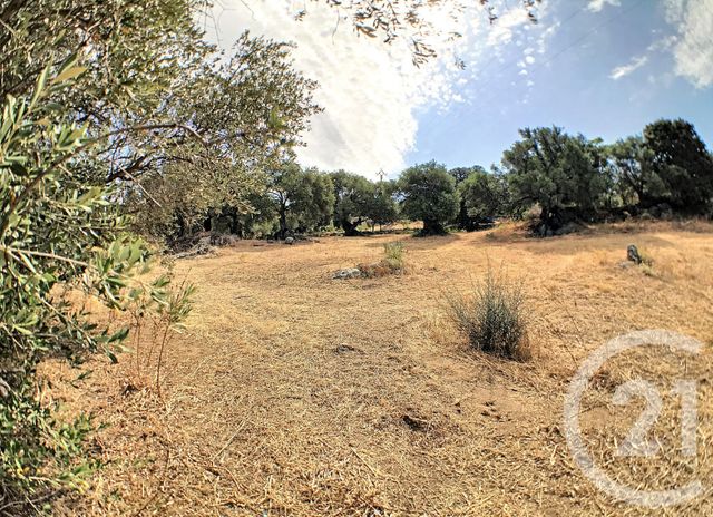 Afficher la photo en grand terrain à vendre - 2100.0 m2 - AREGNO - 20 - CORSE - Century 21 Dary Immobilier