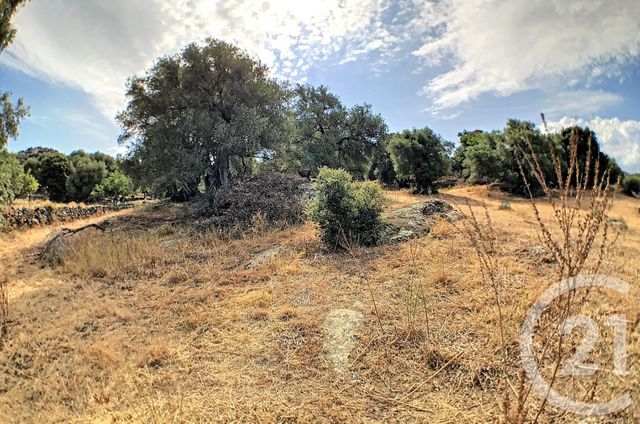 Afficher la photo en grand terrain à vendre - 2100.0 m2 - AREGNO - 20 - CORSE - Century 21 Dary Immobilier