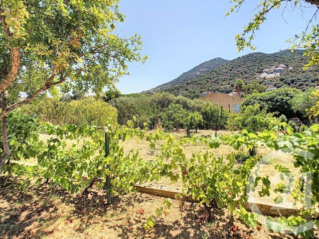 Afficher la photo en grand maison à vendre - 8 pièces - 144.0 m2 - L ILE ROUSSE - 20 - CORSE - Century 21 Dary Immobilier