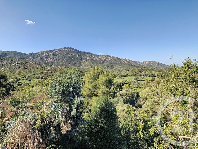 Afficher la photo en grand maison à vendre - 7 pièces - 230.57 m2 - ST FLORENT - 20 - CORSE - Century 21 Dary Immobilier