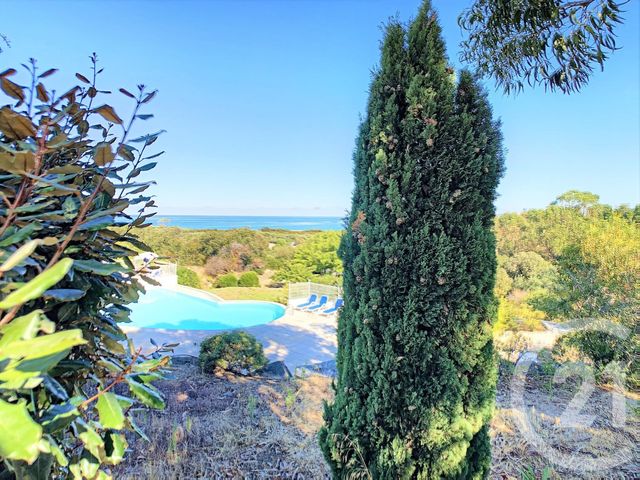 Afficher la photo en grand Appartement T2 à vendre - 2 pièces - 52.4 m2 - BELGODERE - 20 - CORSE - Century 21 Dary Immobilier