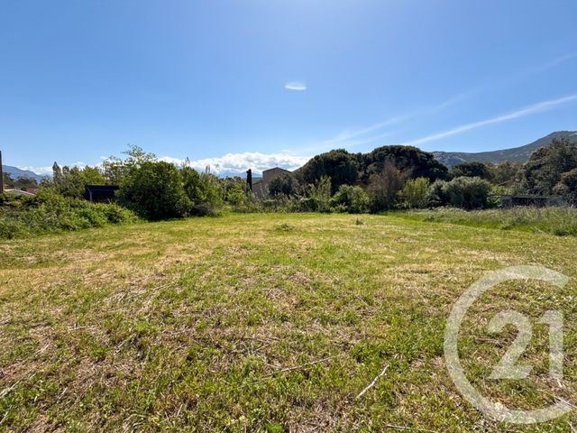 terrain à vendre - 1021.0 m2 - CALVI - 202 - CORSE - Century 21 Dary Immobilier