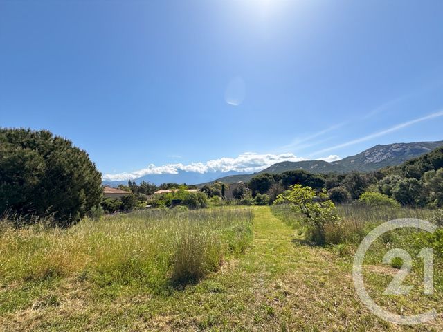 terrain à vendre - 1021.0 m2 - CALVI - 202 - CORSE - Century 21 Dary Immobilier