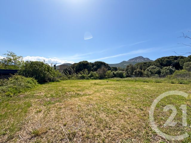 terrain à vendre - 1021.0 m2 - CALVI - 202 - CORSE - Century 21 Dary Immobilier