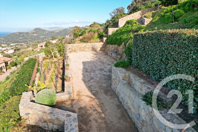maison à vendre - 6 pièces - 315.0 m2 - MONTICELLO - 202 - CORSE - Century 21 Dary Immobilier