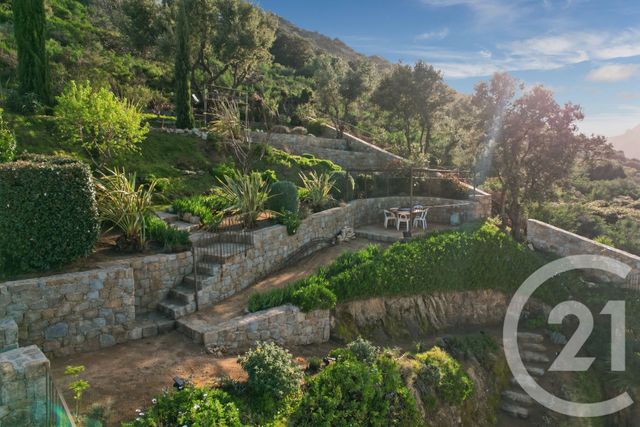 maison à vendre - 6 pièces - 315.0 m2 - MONTICELLO - 202 - CORSE - Century 21 Dary Immobilier