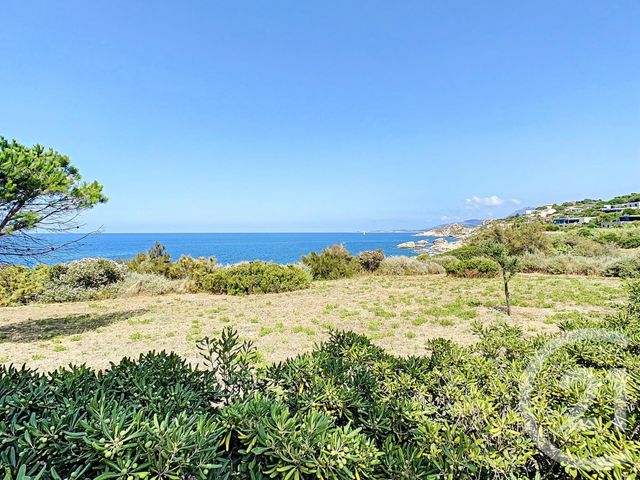 Afficher la photo en grand maison à vendre - 5 pièces - 138.07 m2 - CALVI - 20 - CORSE - Century 21 Dary Immobilier